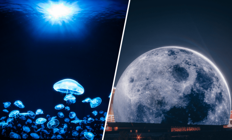 Esfera de Las Vegas: alucina con la experiencia multisensorial “Postcard from Earth”