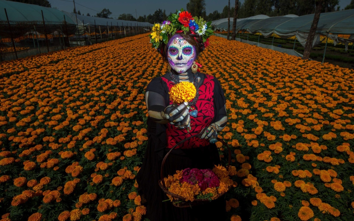 Estas flores de Día de Muertos están prohibidas en EU