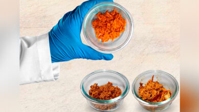 Profeco informa sobre 16 productos de cochinita pibil, chilorio y chicharrón con exceso de sal