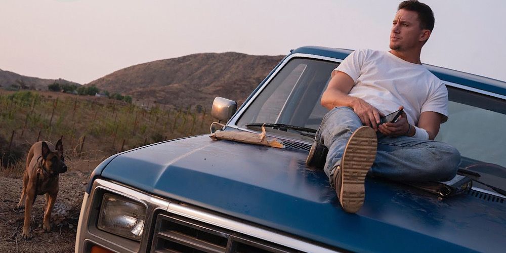 Tráiler para perros: Channing Tatum viaja por carretera con el mejor amigo del hombre