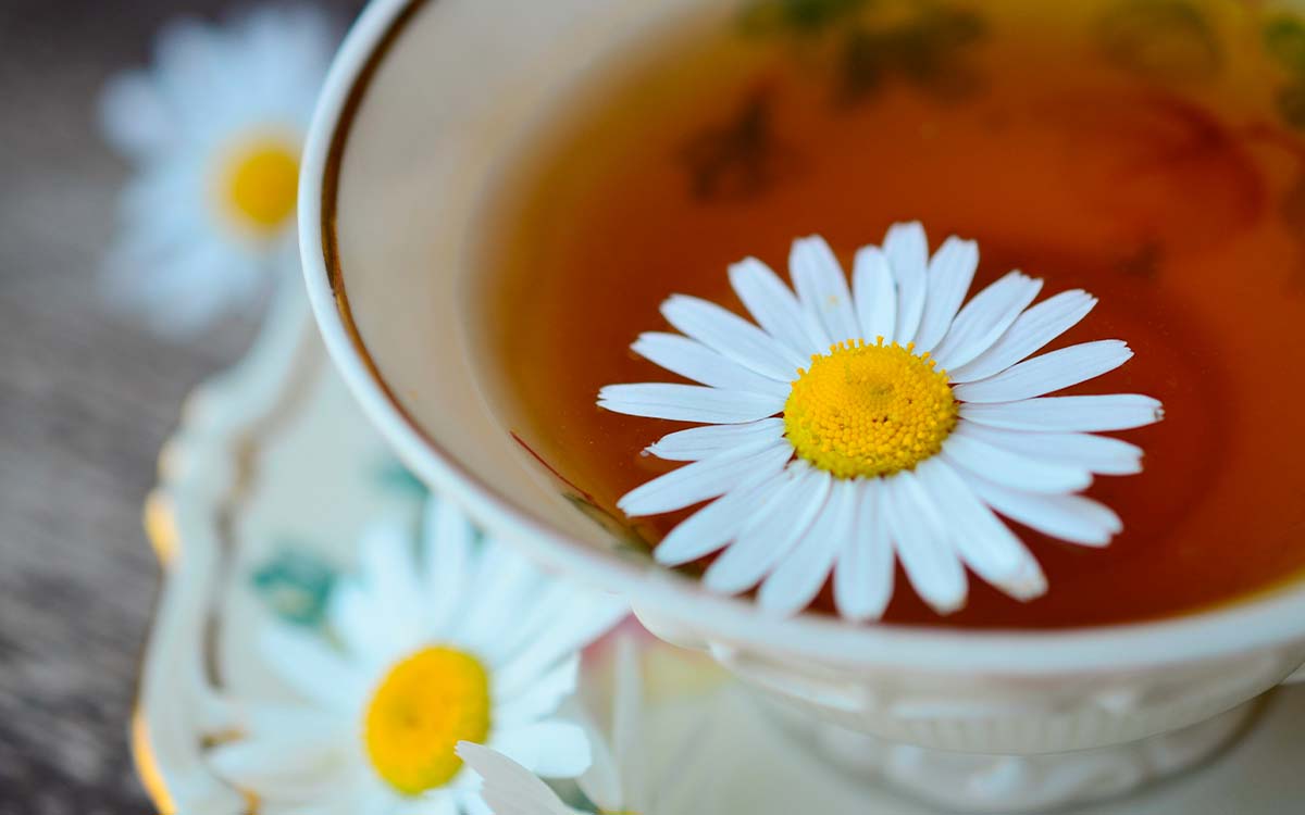 ¿Para qué sirve la manzanilla?