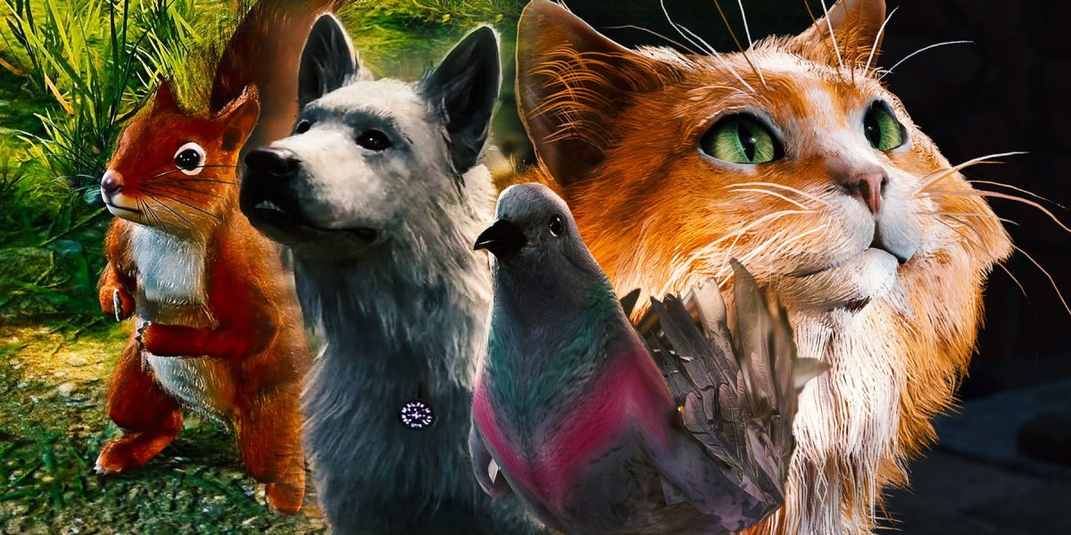10 mejores momentos para hablar con animales en Baldur's Gate 3