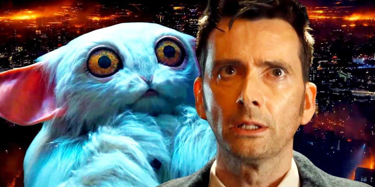 "No voy a sobrevivir a esto": los fanáticos de Doctor Who reaccionan a la reunión de David Tennant y Catherine Tate