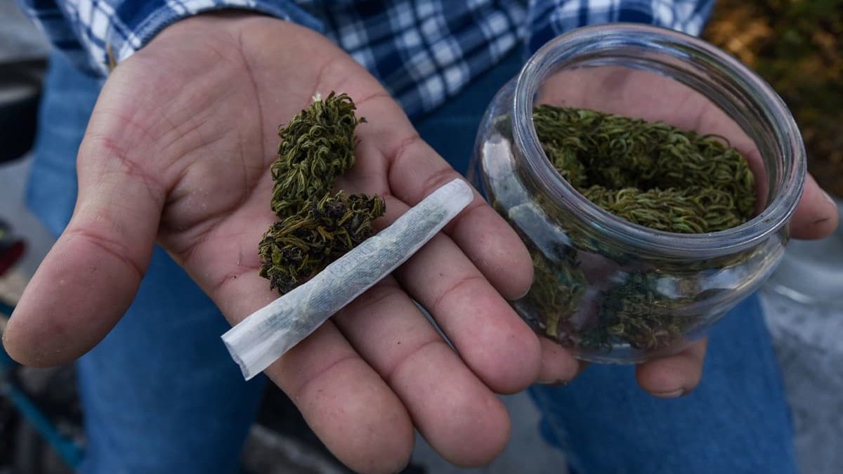 Alemania prevé legalizar cultivo doméstico y posesión de cannabis