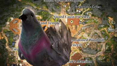 Baldur's Gate 3: Ubicaciones de las letras perdidas (Misión del Acto 3)