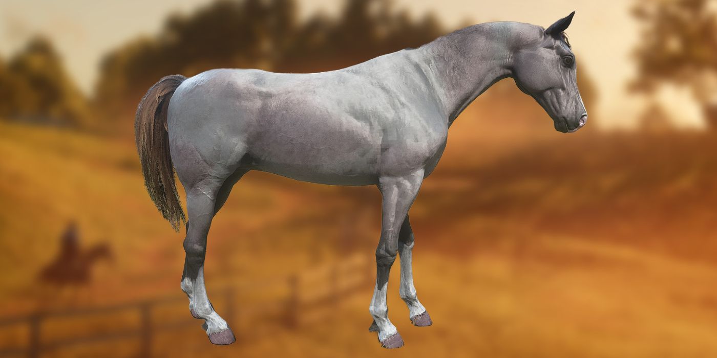 Una representación del caballo árabe Rose Grey Bay en RDR2 contra una imagen borrosa de un campo.