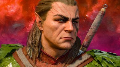 Cómo tener un romance con Halsin en Baldur's Gate 3