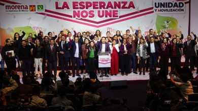 Conoce las nueve virtuales candidaturas de Morena | Perfiles