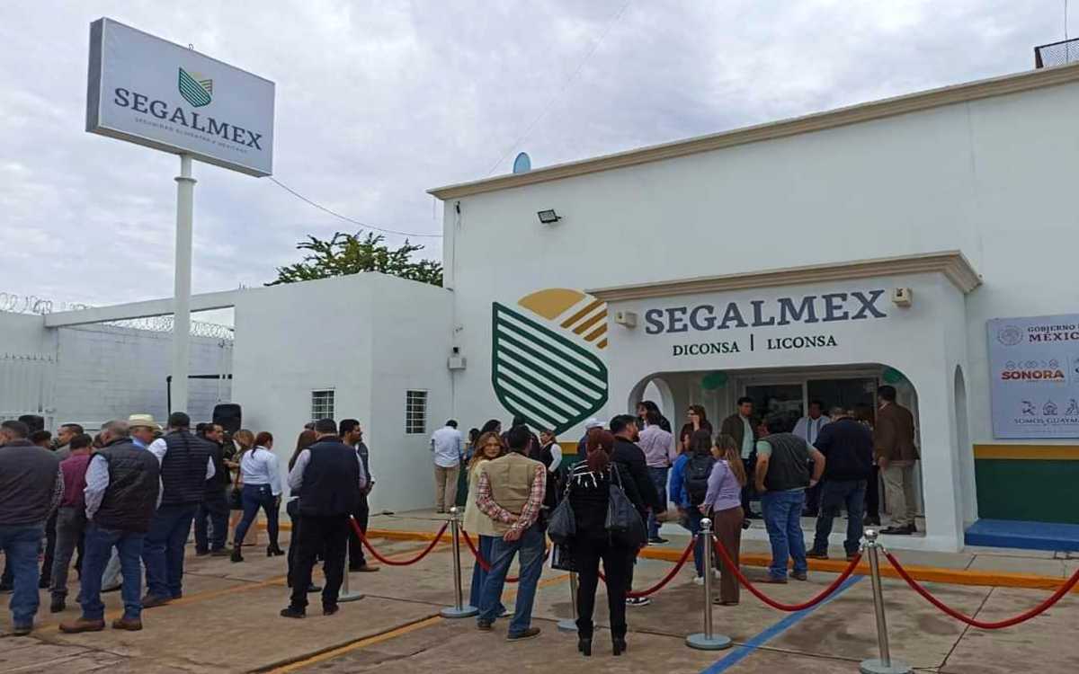 Diputada Pérez-Jaén expone fraude de 20 mmdp en Segalmex