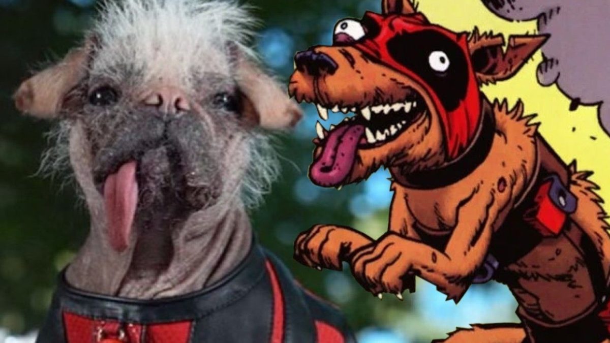Dogpool de Deadpool 3 confirmado, Ryan Reynolds comparte el primer vistazo al miembro más extraño del reparto