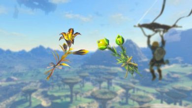 Dónde encontrar verduras silvestres en Zelda: Tears of the Kingdom