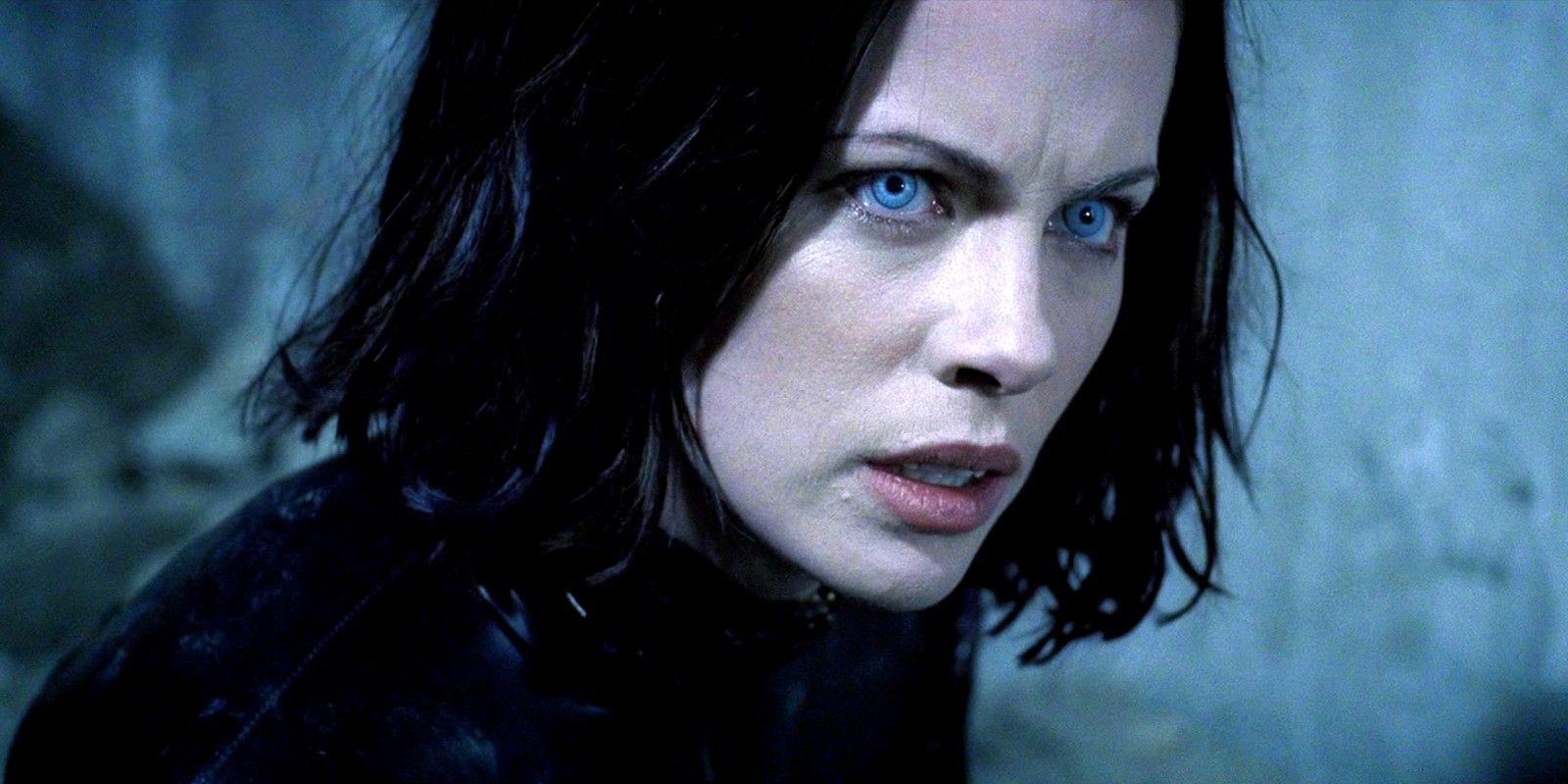 El programa de televisión Underworld recibe una actualización positiva del director después de varios años