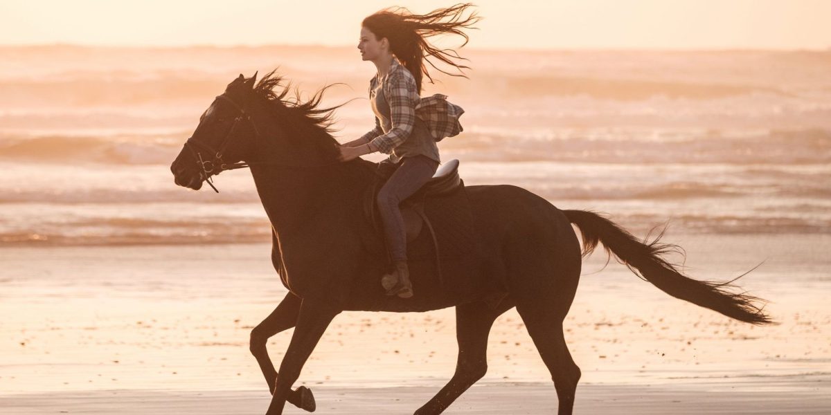 El tráiler de Black Beauty revela las primeras imágenes de la película de Kate Winslet para Disney+