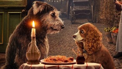 El tráiler n.º 2 de La dama y el vagabundo destaca los animales de acción real y CG de dibujos animados