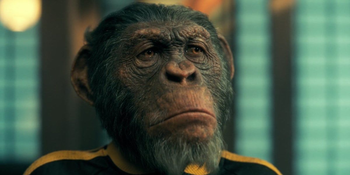 El video de la temporada 4 de The Umbrella Academy muestra la retorcida línea de tiempo y la ventana de lanzamiento de los episodios finales