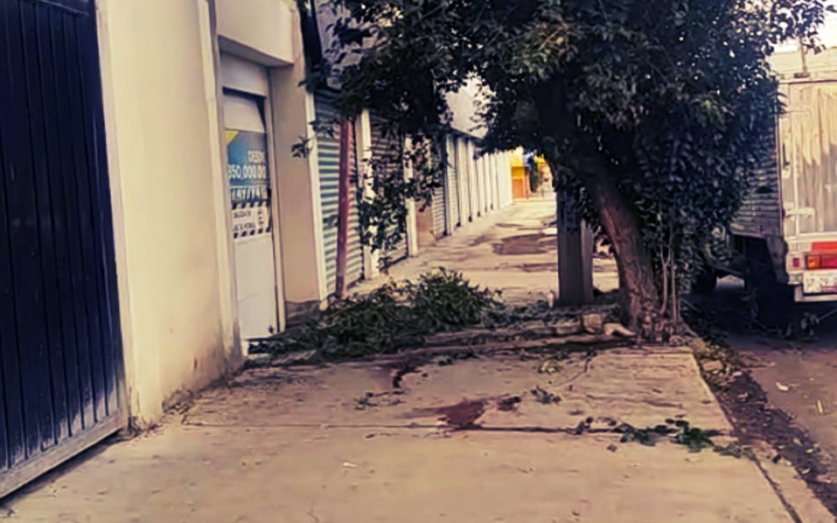 Estudiante de la UPAEP se lanzó del edificio donde vivía y perdió la vida