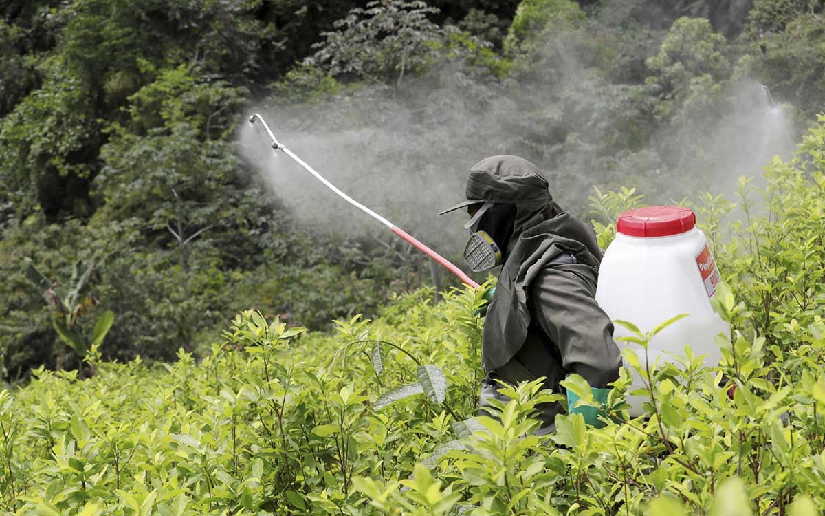 Europa renovará otros 10 años la autorización para usar glifosato por falta de acuerdos