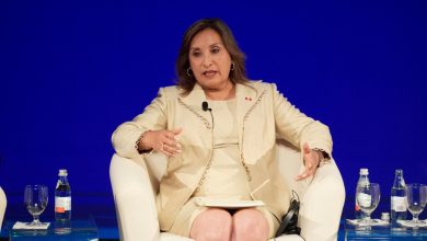 Fiscalía de Perú investiga a hermano de presidenta Boluarte