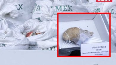 Hong Kong asegura más de una tonelada de metanfetamina procedente de México, oculta en conchas de caracol