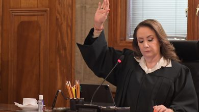 Juez federal tira suspensión que frena procedimiento de la UNAM contra tesis de Yasmín Esquivel