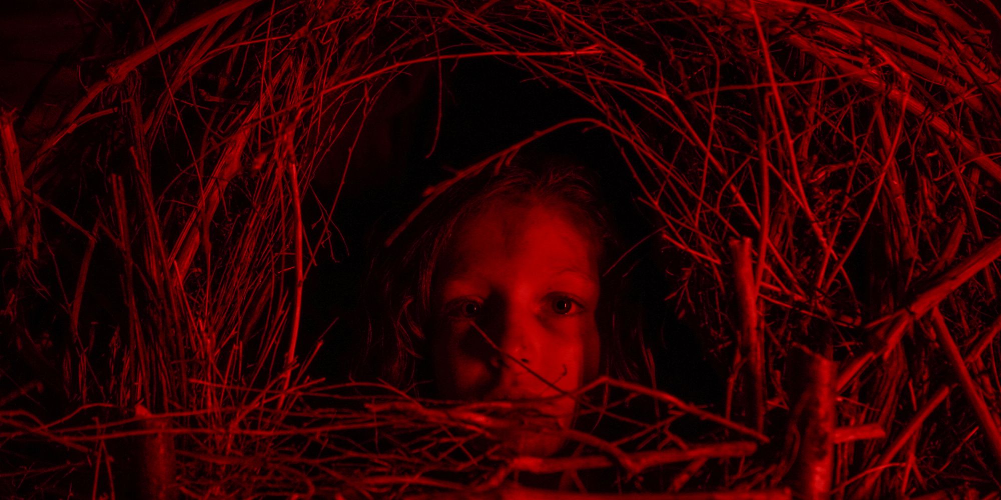 La clásica película de terror de Netflix es una mezcla de Midsommer y Texas Chainsaw