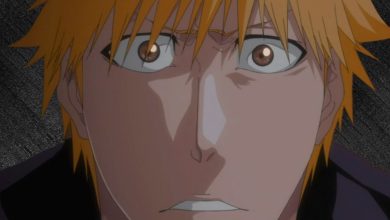 Lista de relleno de Bleach: cada episodio que puedes saltarte