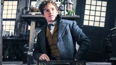 Olvídese de Animales fantásticos 4: Newt Scamander puede regresar en el reinicio de Harry Potter gracias a un huevo de Pascua de 20 años