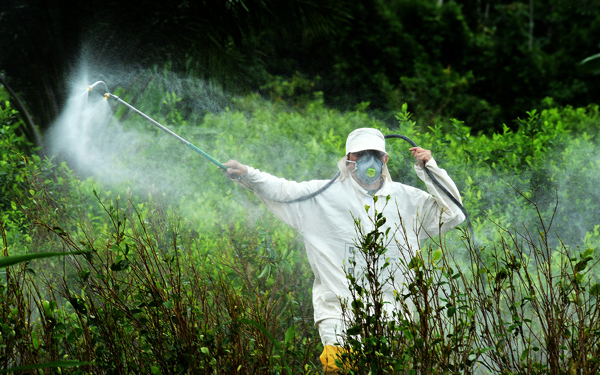 Rechazan propuesta de posponer prohibición del uso de glifosato
