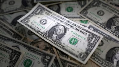 Remesas enviadas a México suben 9.5 % de enero a septiembre y marcan récord: Banxico
