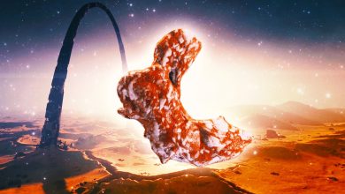 Starfield: los mejores planetas para cultivar membranas