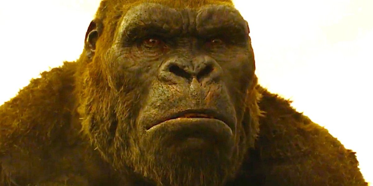 “Su preocupación inmediata”: Monarch Star tuvo un problema al revivir su Kong: personaje de Skull Island