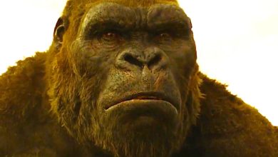 “Su preocupación inmediata”: Monarch Star tuvo un problema al revivir su Kong: personaje de Skull Island
