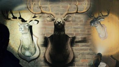 Todas las ubicaciones de Deer Head en Alan Wake 2