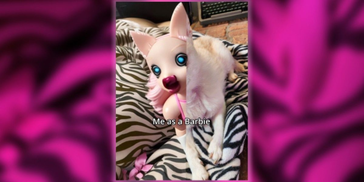 Todos en TikTok están convirtiendo a sus perros en Barbies malditas: cómo obtener el filtro viral