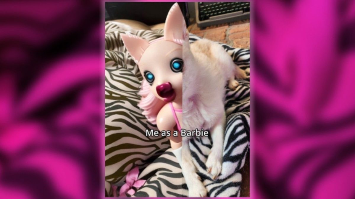 Todos en TikTok están convirtiendo a sus perros en Barbies malditas: cómo obtener el filtro viral