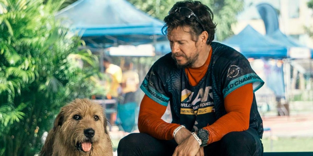 Tráiler de Arthur The King: la atrevida aventura de Mark Wahlberg conduce a un vínculo peludo inesperado
