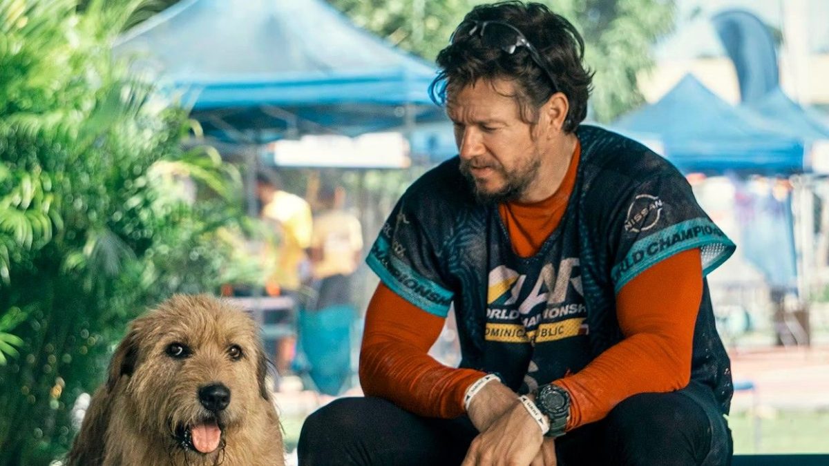 Tráiler de Arthur The King: la atrevida aventura de Mark Wahlberg conduce a un vínculo peludo inesperado
