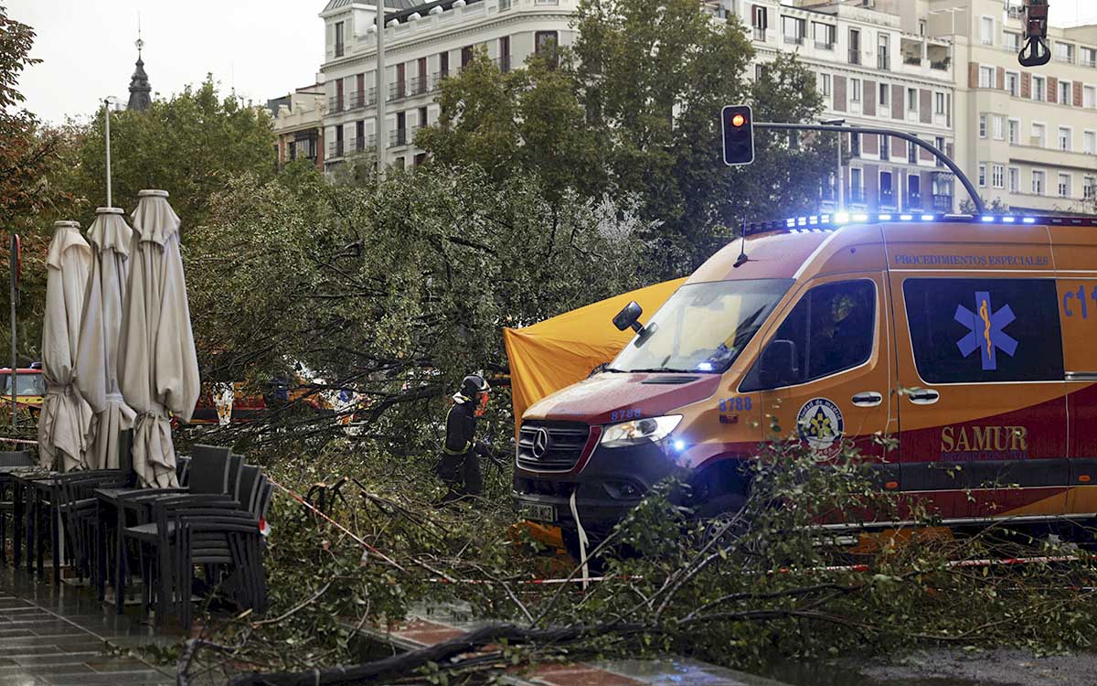 Tres muertos, cortes de luz y caos en el transporte por una potente borrasca en Europa
