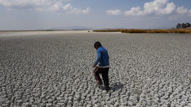 Un tercio de las personas aún duda sobre el cambio climático