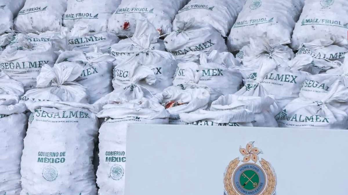 Video | Segalmex se deslinda de metanfetamina oculta en conchas