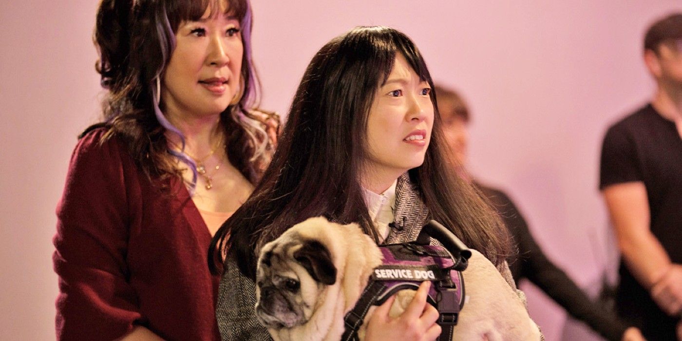 ¿Cómo sigue vivo el Sr. Linguini de Quiz Lady?  ¿El verdadero Pug tiene realmente 20 años?