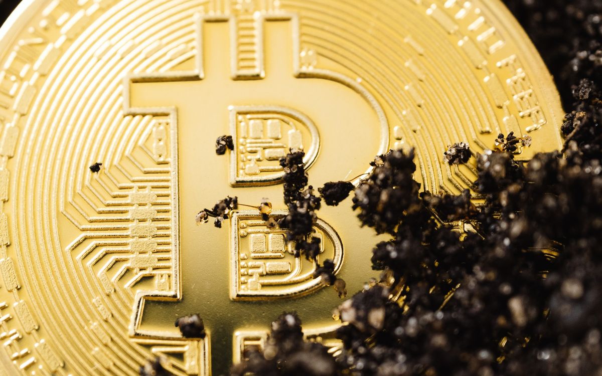 ¿Cuánto cuesta realizar una transacción de Bitcoin?