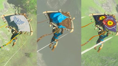 Zelda: TOTK: todas las telas de parapente (y cómo desbloquearlas)