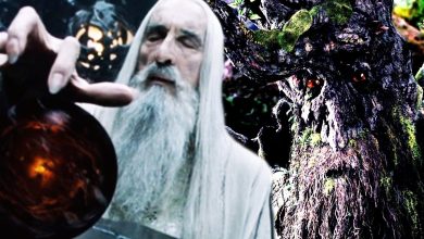 Agujero argumental de LOTR desacreditado: por qué Saruman no mató a Bárbol y a los Ents