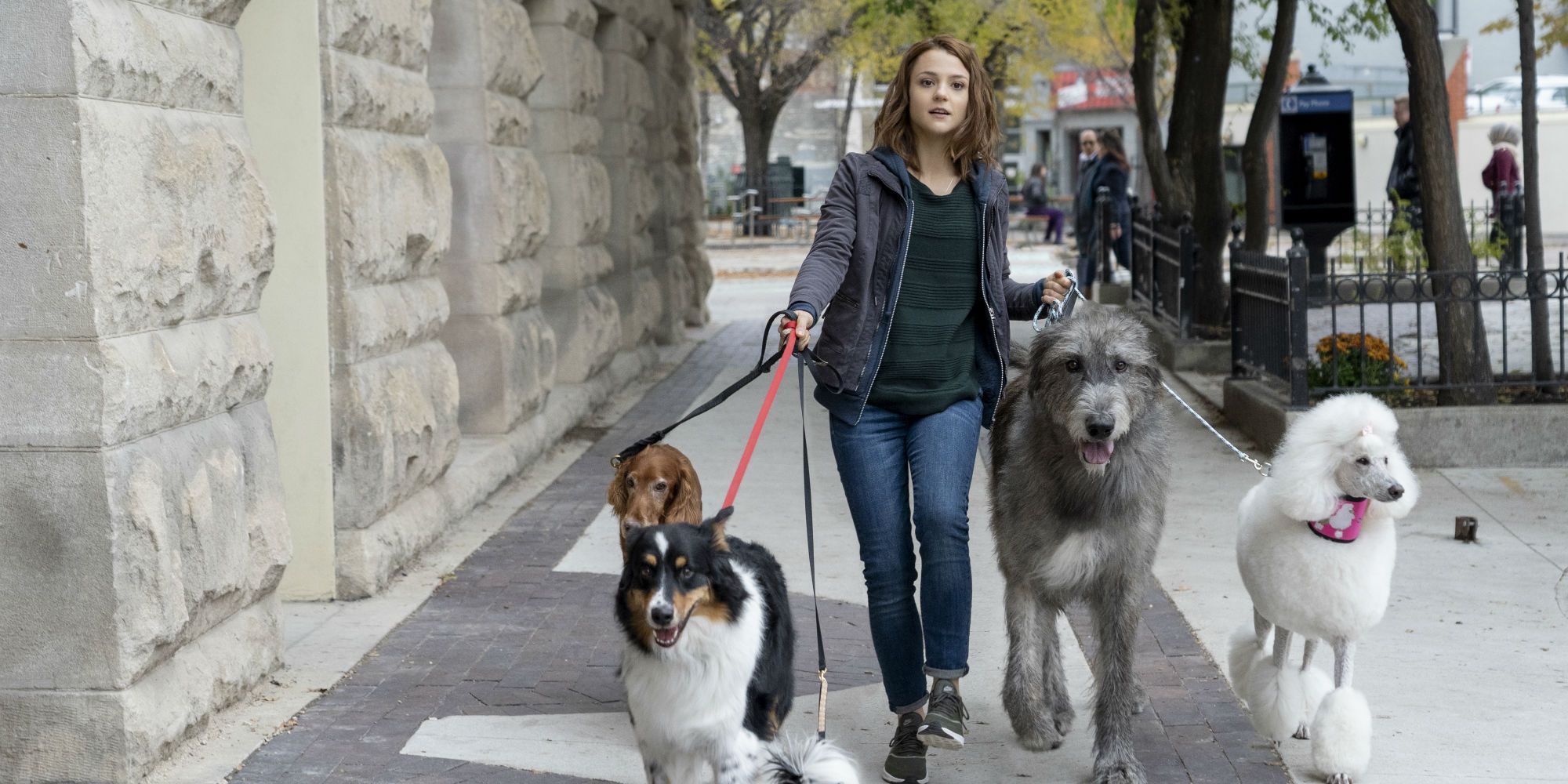 Avance del tráiler y carteles de A Dog's Journey La secuela de A Dog's Purpose