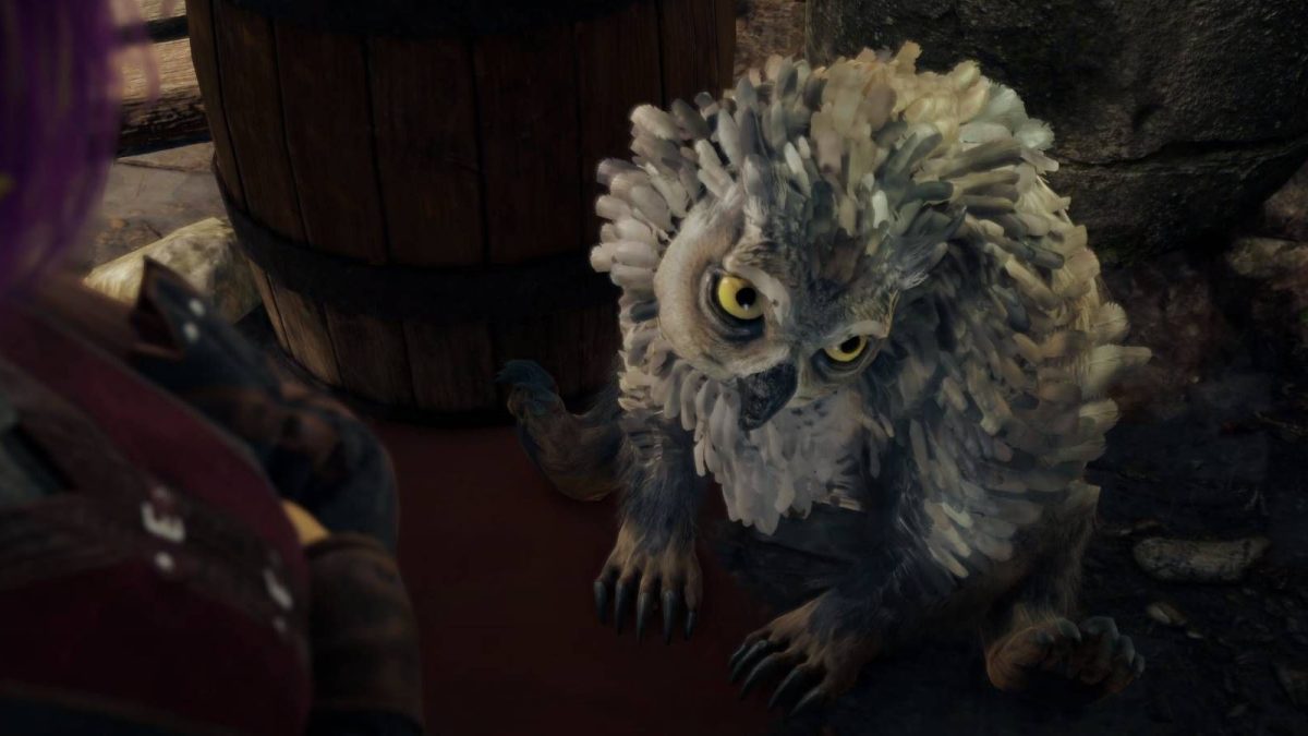 Baldur's Gate 3: Cómo conseguir el cachorro de oso búho