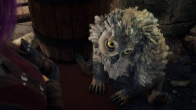 Baldur's Gate 3: Cómo conseguir el cachorro de oso búho