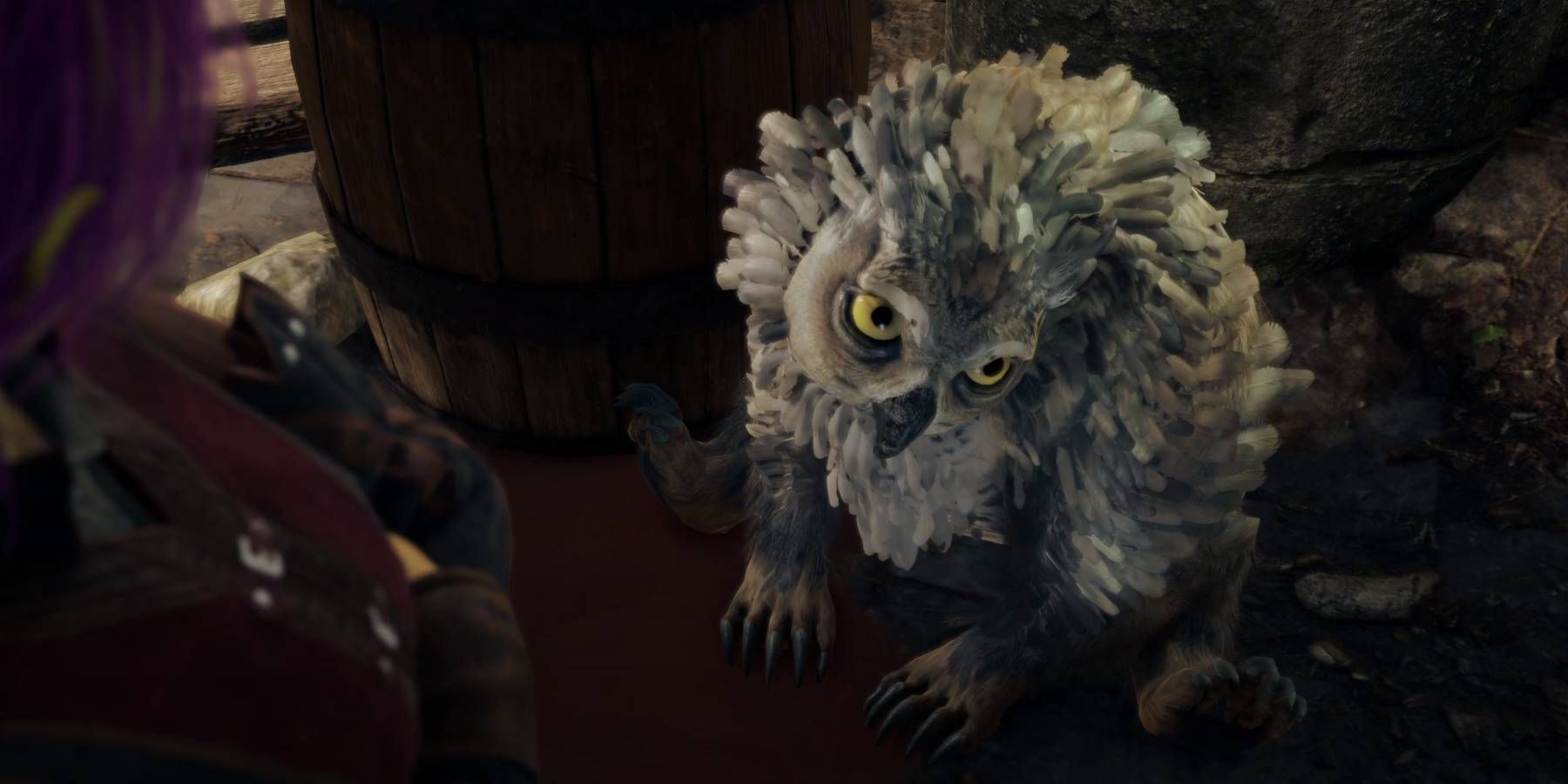 Baldur’s Gate 3: Cómo conseguir el cachorro de oso búho