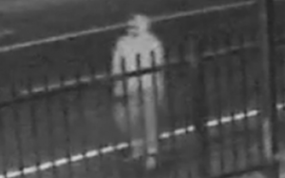 Buscan a presunto asesino en serie de personas sin hogar en Los Ángeles