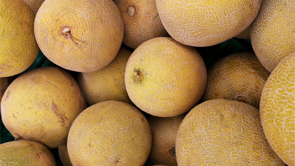 Canadá: Mueren 5 personas por salmonella vinculada a melones de México